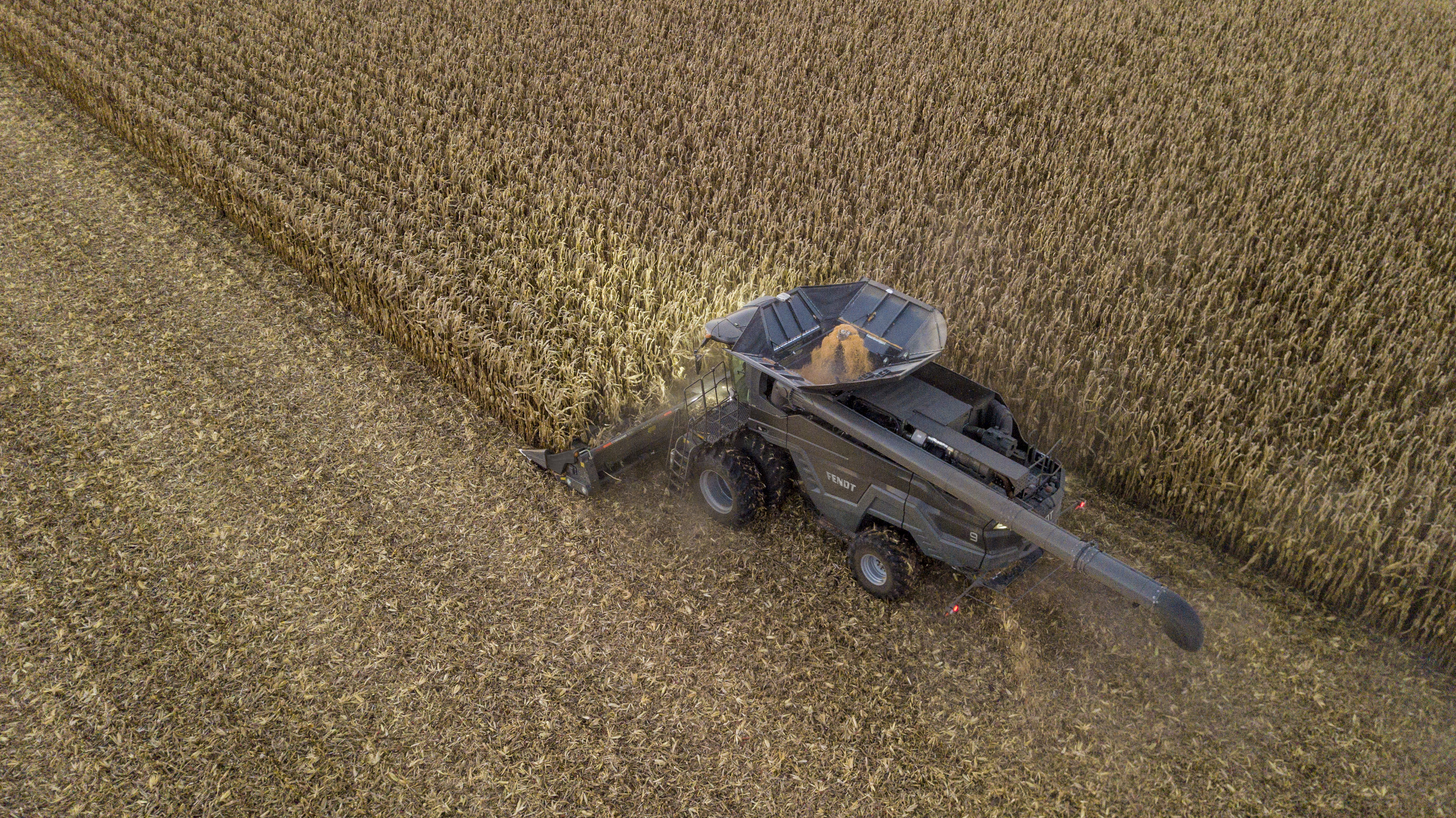 Ideal Combine in the field